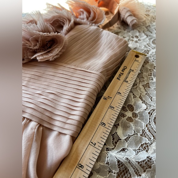 BCBGMaxAzria Dresses Nwt Bcbg Max Azria Blush Pink Chiffon Formal
